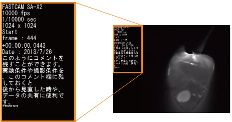 情報保存機能