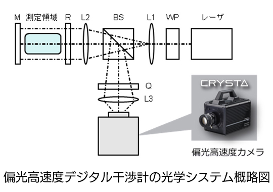 偏光高速度デジタル干渉計の光学システム概略図