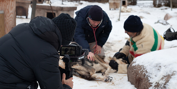 CBCのオリジナルシリーズ、「Arctic Vets」をURSA Mini Pro 12Kで撮影