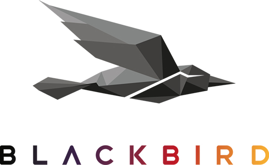 Blackbird